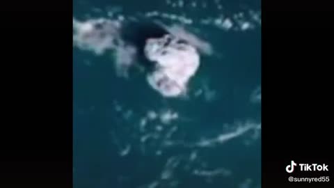 Tonga è un missile?