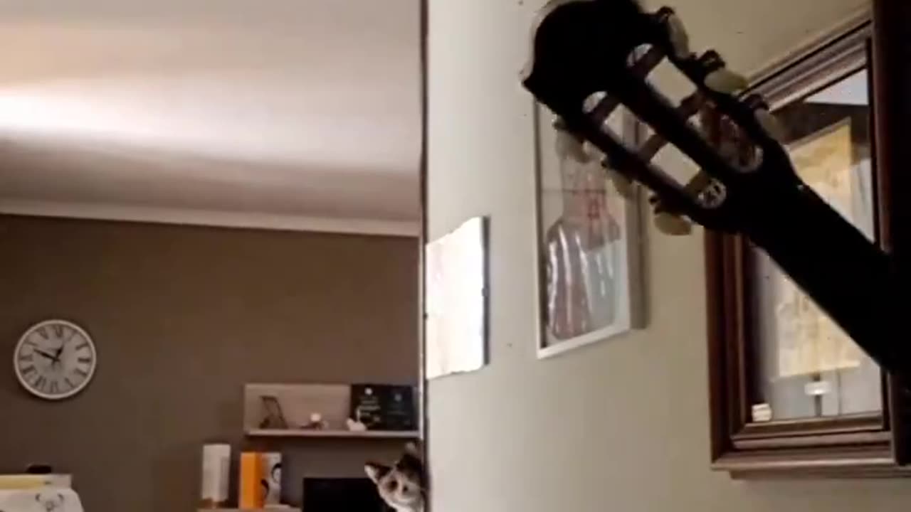 When the cat sings along with the music