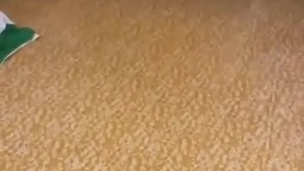 Funny 🤣