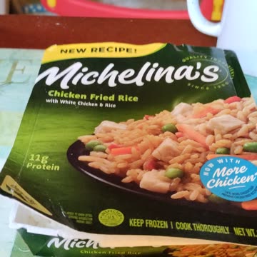 Eating Michelina's Chicken Fried Rice, Dbn, MI, 8/29/23
