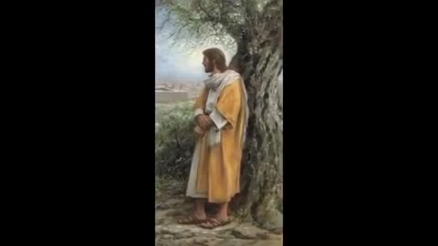 Mirror|JESUS AS DESCRIBED ☨ BY PILATE