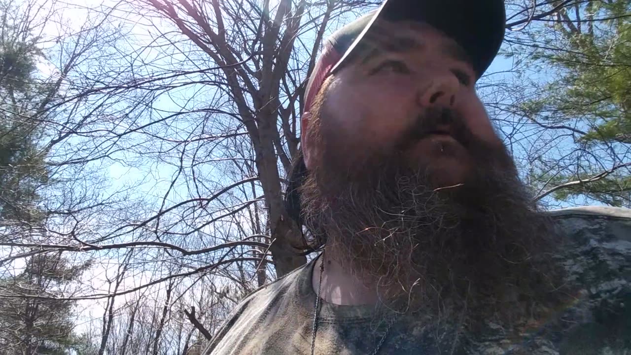 Beautiful Maine day finally