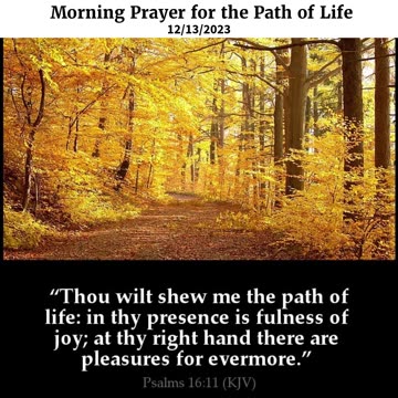 Morning Prayer for the Path of Life #youtubeshorts #jesus #grace #mercy #faith #blessed #fyp #trust