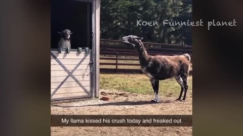 Newest funny