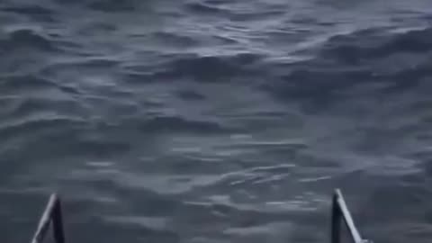 original ocean meme video template