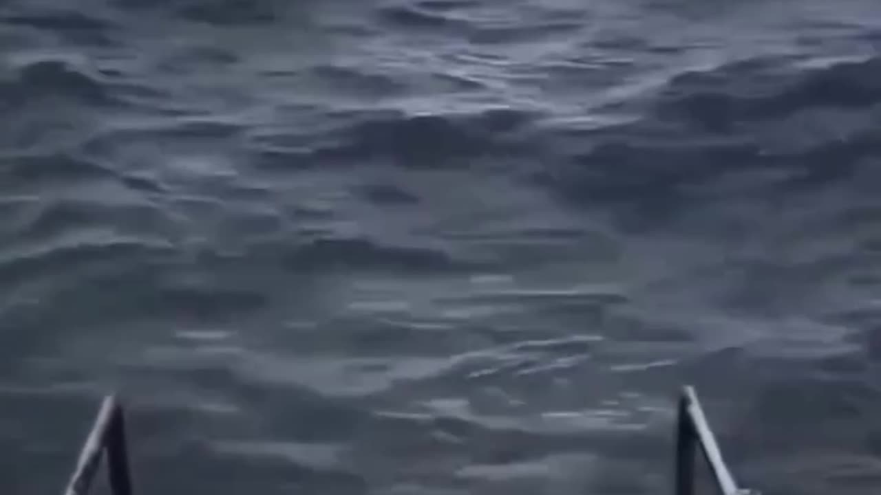 original ocean meme video template