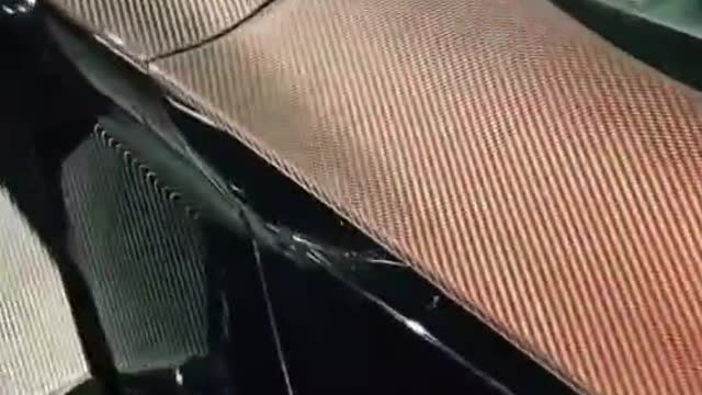 Like a sunflower, full of the taste of the sun.