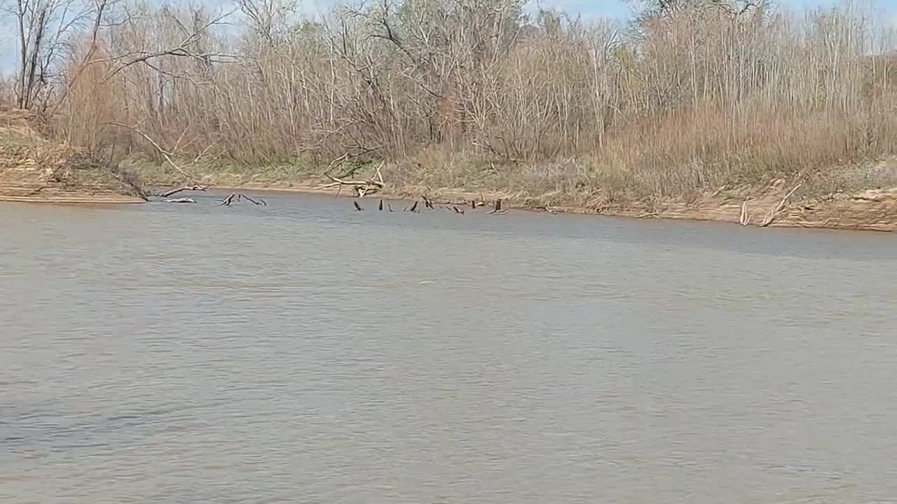 Brazos River & Navasota Rivers Meet Texas