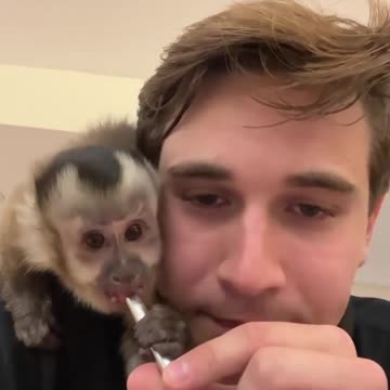 Never a dull moment with Theo 🥤