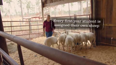 Berry College - Animal Science