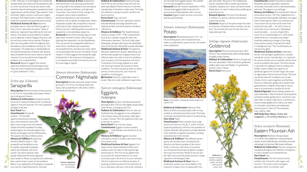 The Encyclopedia of Natural Remedies