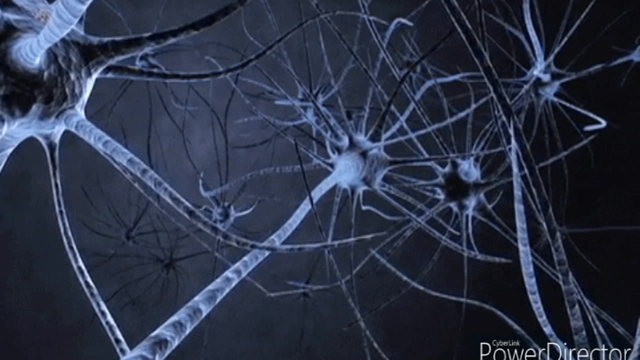 Science ASMR: Brain Cell Basics