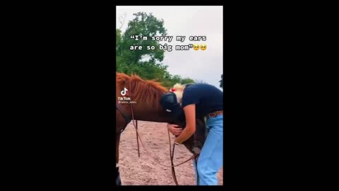 Horse TikToks That Went Viral! #5