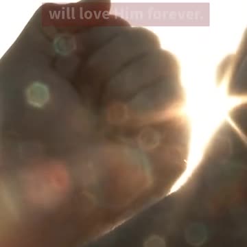 God's Plan in a Nutshell - SHORT