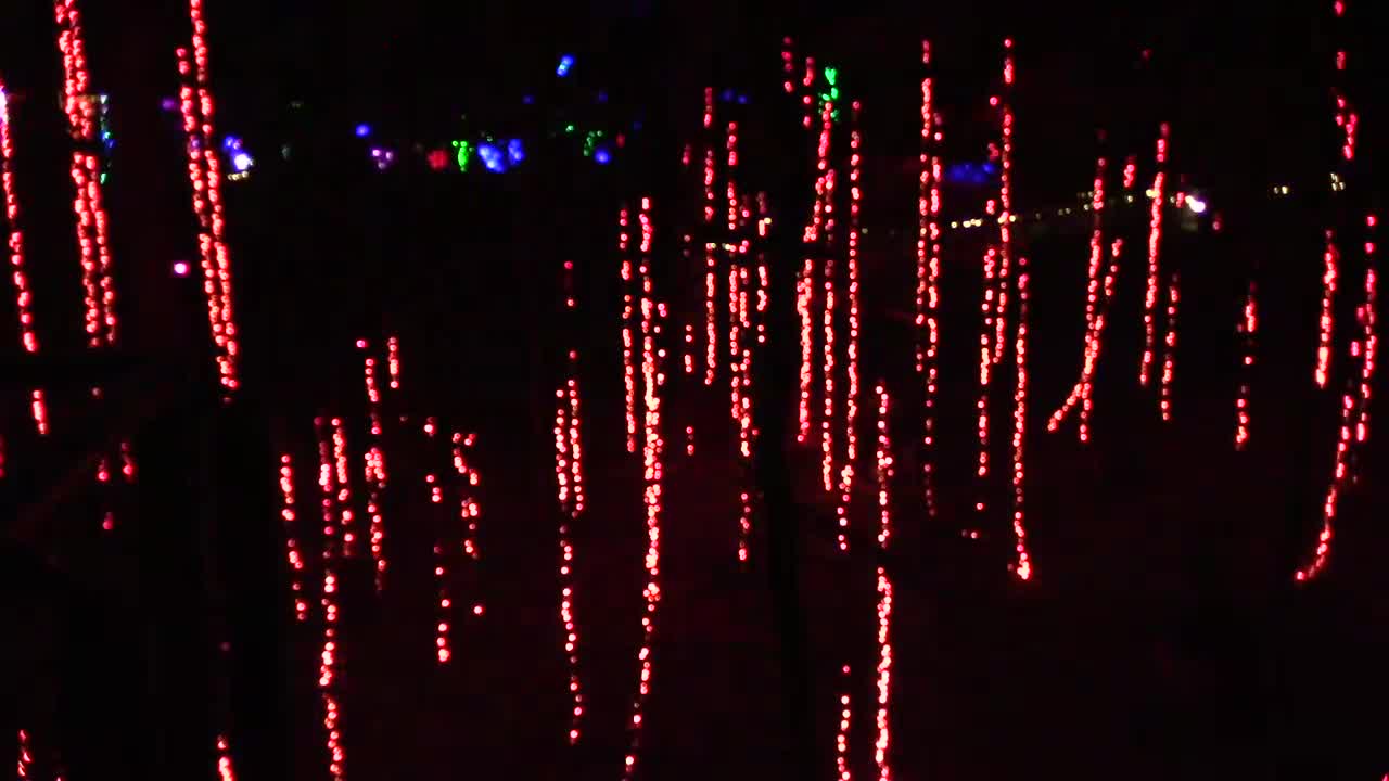 ATLANTA BOTANICAL GARDEN | LIGHT & MUSIC SHOW | JESSMONI | TUSKEGEE TELEVISION NETWORK