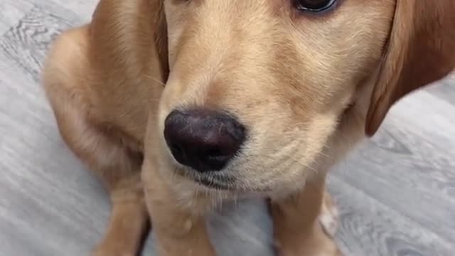 What are you looking at 👀