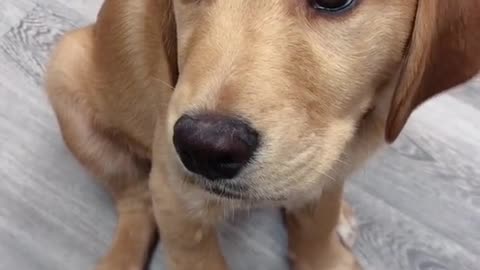 What are you looking at 👀