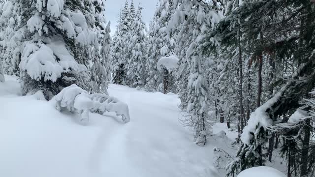 Butte Trail Junction – Central Oregon – Vista Butte Sno-Park – 4K