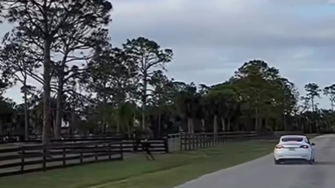 The end 😂😂😂 #funny #fails #viral #shorts #justlaughfolder
