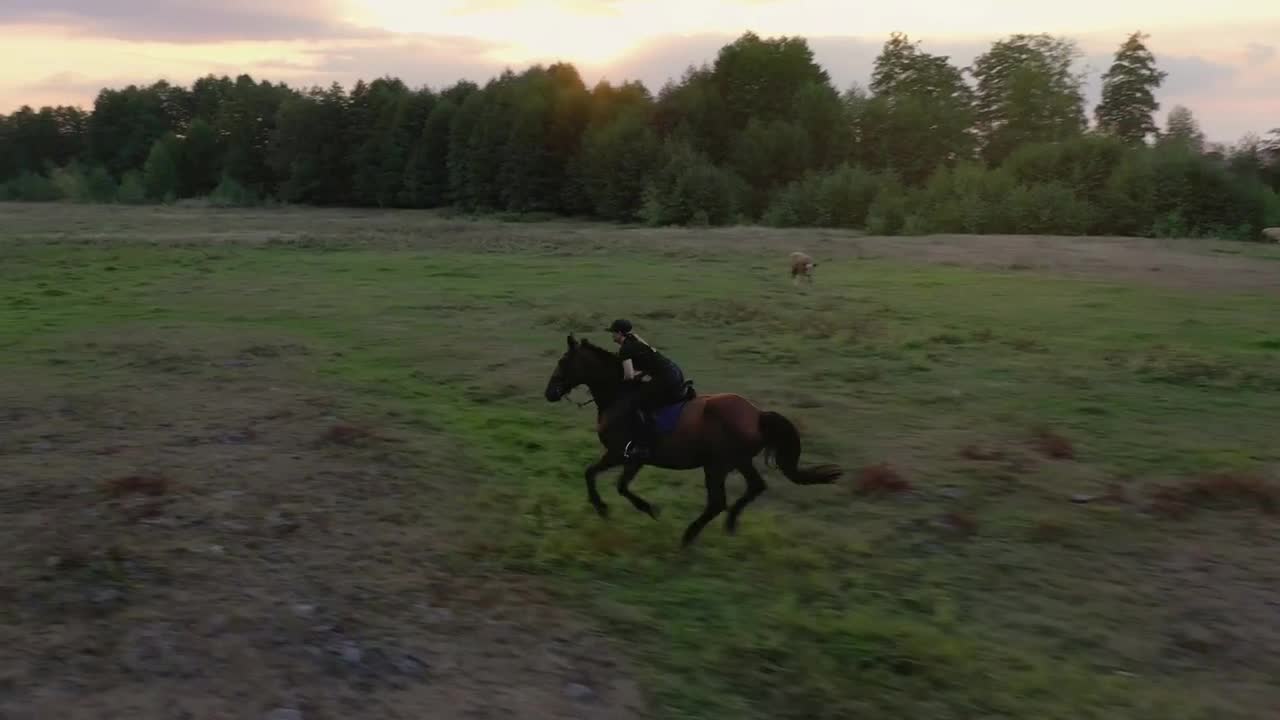 Aerial view of woman riding horse by gallop through a meadow at sunset