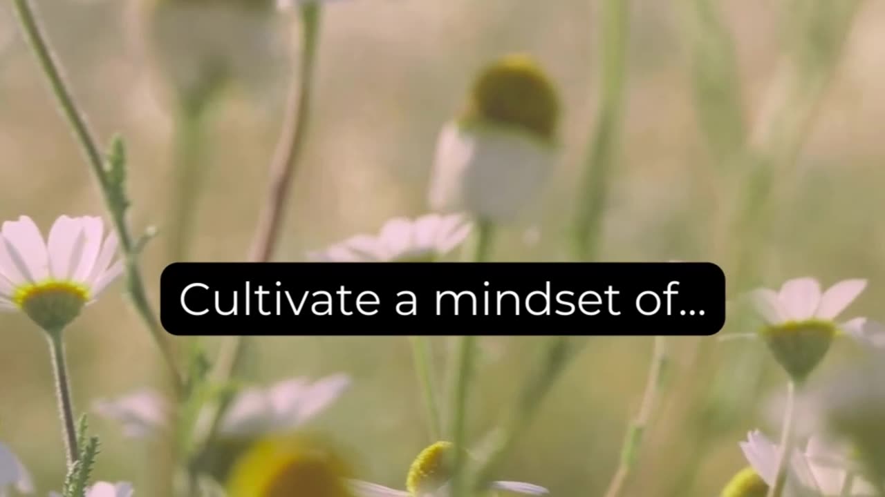 Cultivate a mindset of..