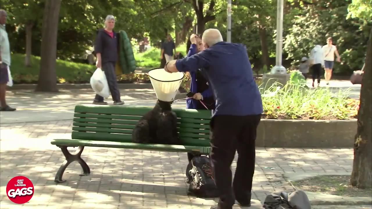 Best Of Chaotic Prank _ Just For Laughs Gags #LIVE