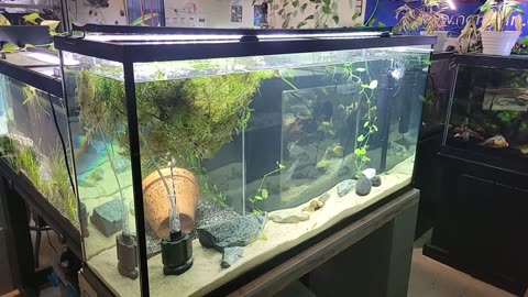 I found 2 free aquariums!