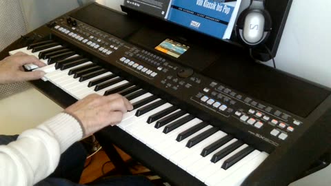 Die Perle Tirols (Das Kufsteinerlied) cover by Henry, Yamaha PSR-SX600