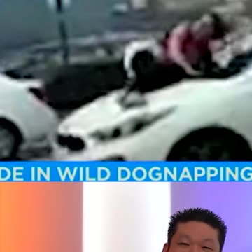 Dog Thefts Are Now Common In This Liberal City