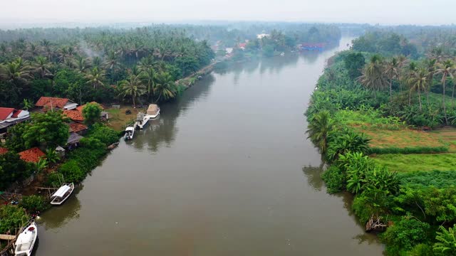 enchanting river in the jungle