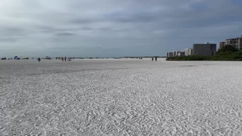 Marco Island vlog