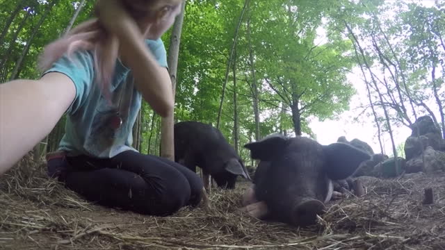 Girl's face was covered in mud after pig kisses