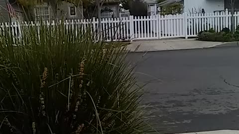 Biking in the neighborhood Part 1