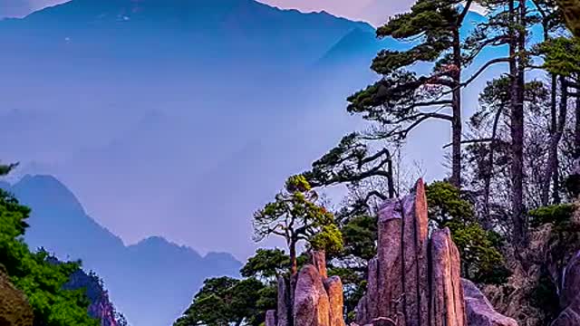 Beautiful view of Huangshan Mountain