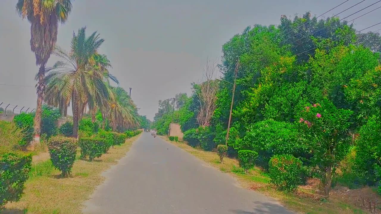 Pareek Pakistan