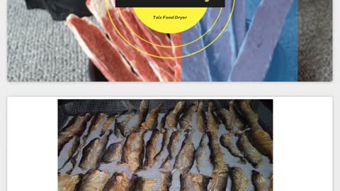 Fish Skins Dog Treats Dehydator and Dehumidifier DPHG150S-X
