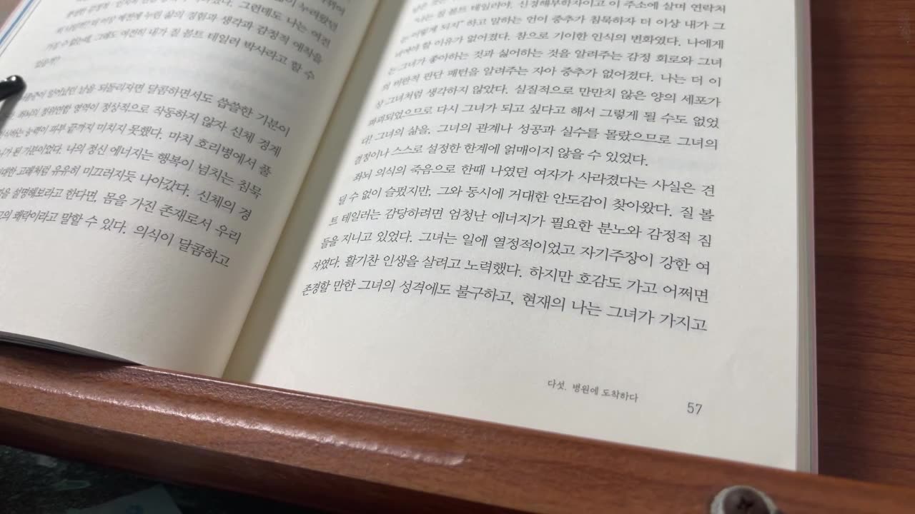 나는 내가 죽었다고 생각했습니다,질볼트테일러, 스티브, 응급처치, 당혹감, 세인트, 건강보험, 장기기억, 화소, 성대, 검지, 명료한물결, 마비, 뇌졸중, 마운트오번,병원,응급전화