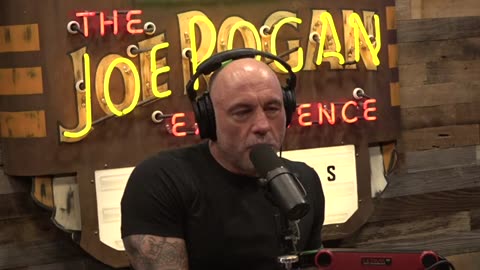 Joe Rogan Experience #2173 - Jimmy Dore