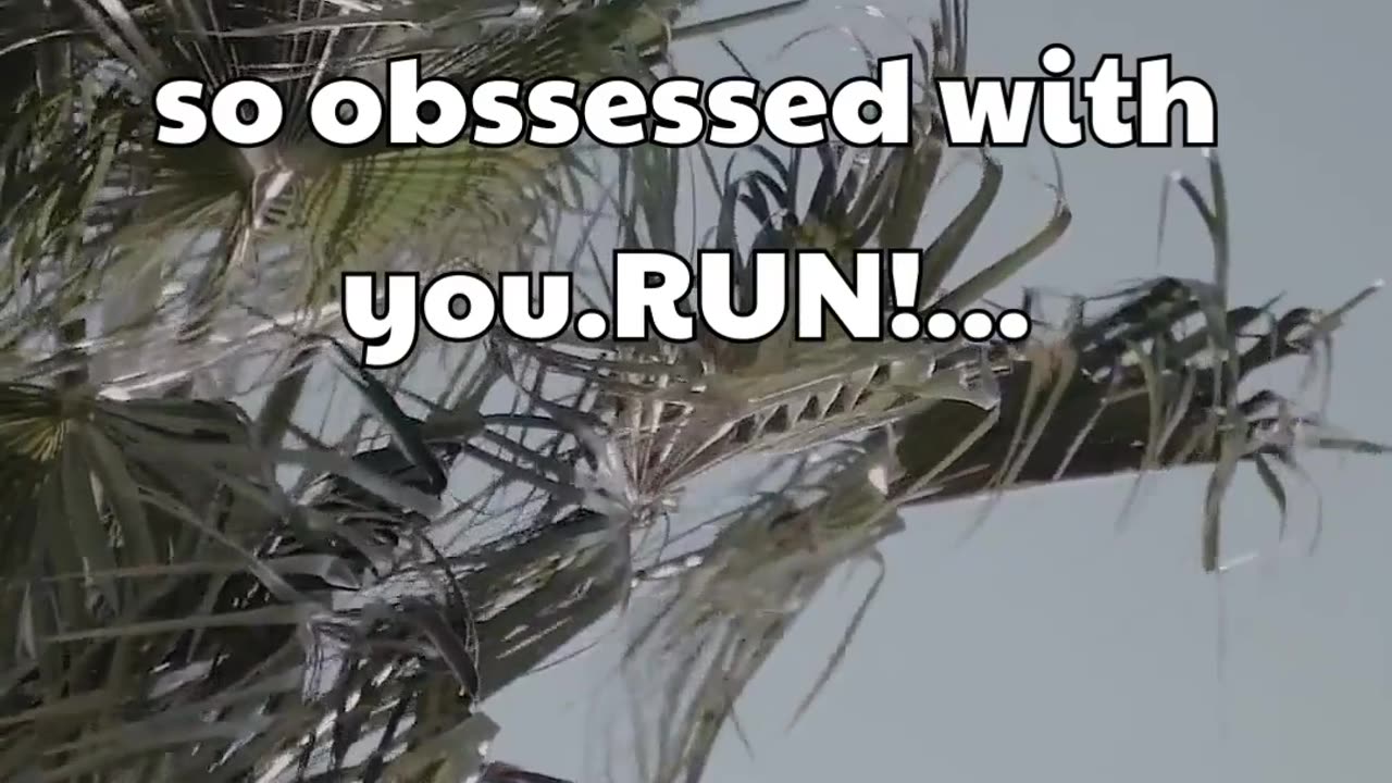 If your partner is so obsessed with you.. #shorts #psychologyfacts #subscribe