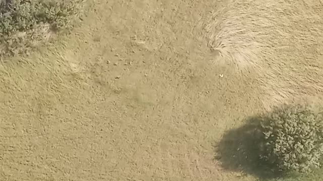 Whirlwinds Spin Grass Below While Working in Tower