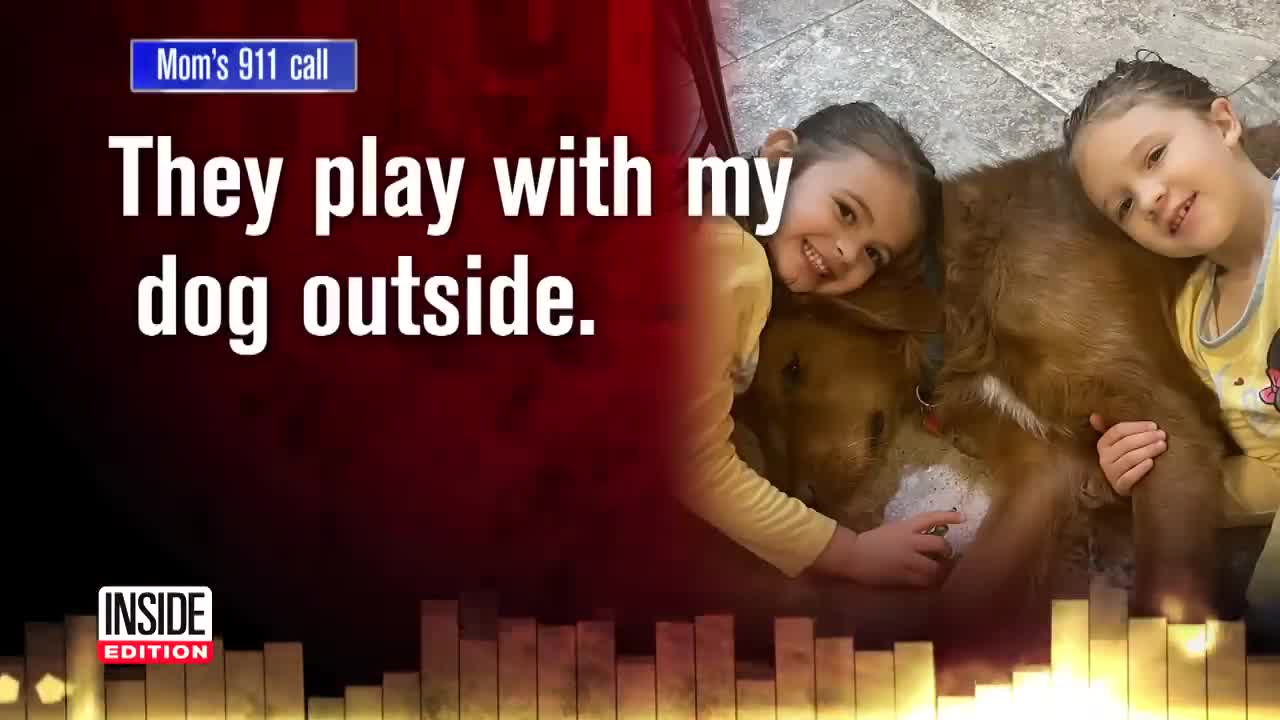 Family Dog Protects 2 Missing Girls Lost in the Woods