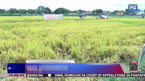 Importasyon, hindi pangmatagalang solusyon sa kakulangan ng suplay ng agri product −PCAFI