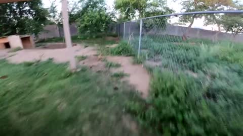 We Found a Baby Tortoise! - Morning Routine-8