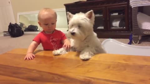 Dog and baby-s epic showdown for last piece....