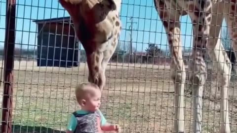 Cute and Funny Baby 😍😍😅😅 #viral #shorts #reels #baby #cutebaby #funnybaby #trending #kids #mmvbaby