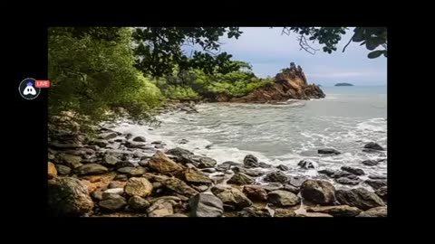 Relaxing Music | Sleeping, Meditation, Stress Relief | [7272] ⭐️