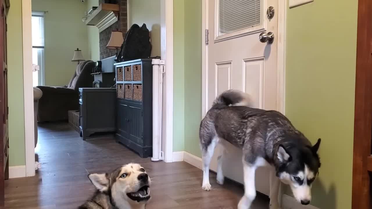 Tantrum