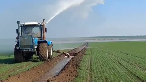 Crc vídeos curiosos