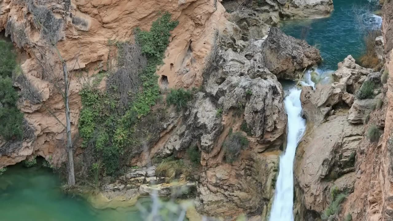 Untamed Beauty: Exploring the Majesty of the Natural World