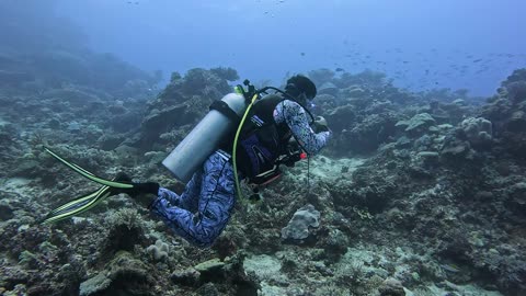 Bored Scuba Diver Plays With Plastic Bottle